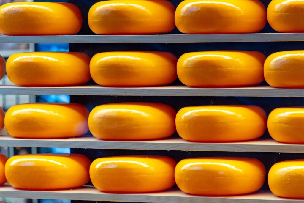 Rows of Dutch Gouda cheese wheels arranged on wooden shelving