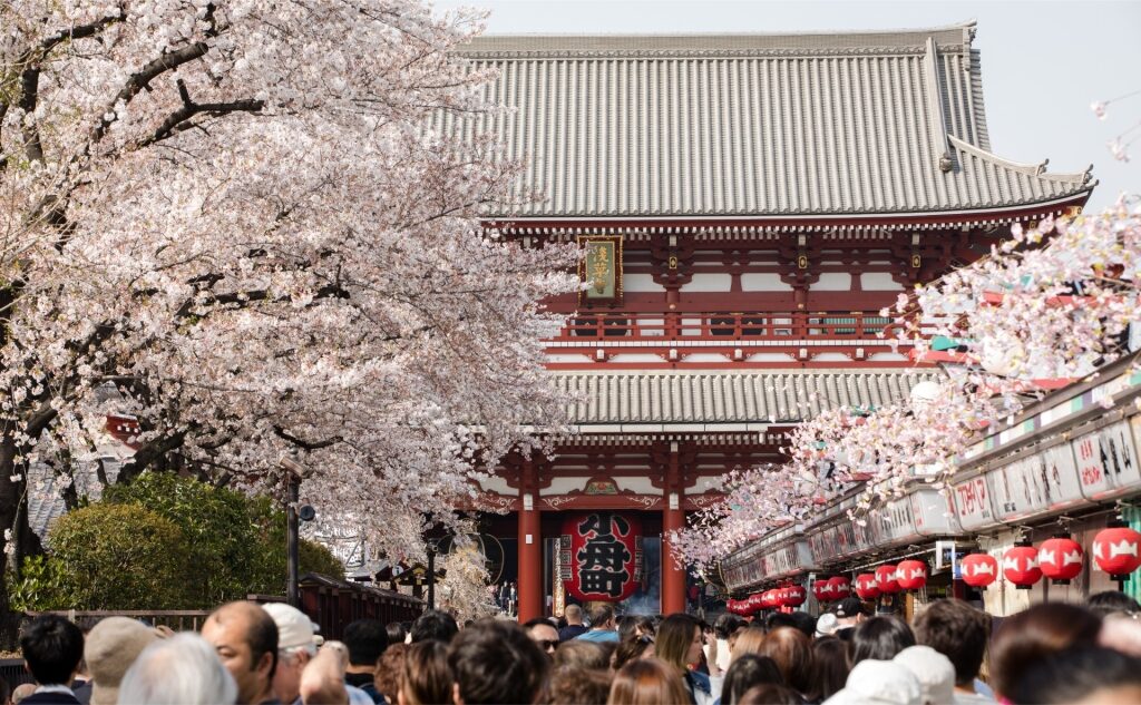 Crowds walking along cherry blossom-filled Nakamise-dori toward Senso-ji