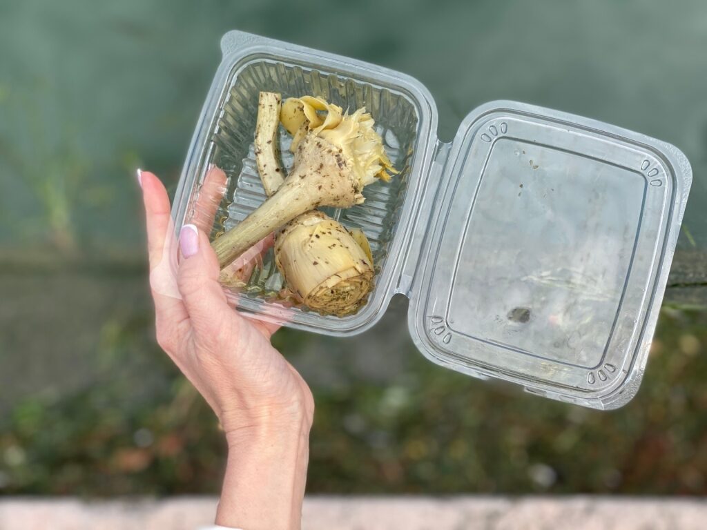 Carciofi alla Romana, Roman-style braised artichokes
