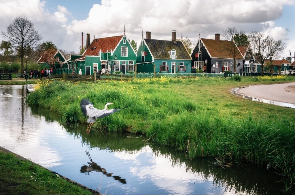 View of vibrant wooden homes and a canal at Zaanse Schans heritage village