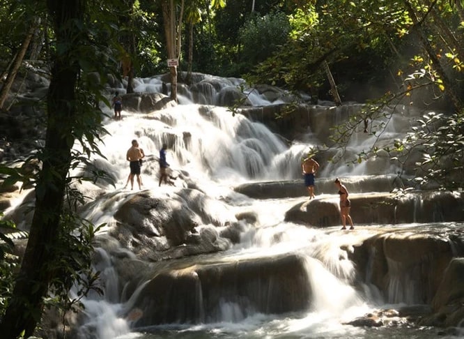 Visitors climbing the cascading limestone terraces of Dunn's River Falls in Ocho Rios, Jamaica, surrounded by lush tropical forest.