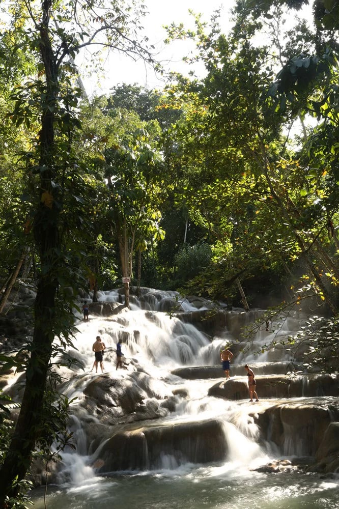 Visitors climbing the cascading limestone terraces of Dunn's River Falls in Ocho Rios, Jamaica, surrounded by lush tropical forest.