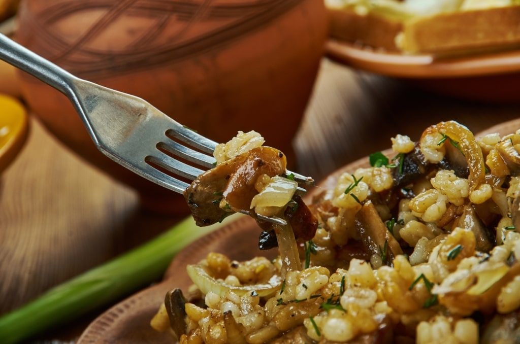 A comforting bite of houbový kuba, a traditional Czech dish made with earthy wild mushrooms and pearl barley. 