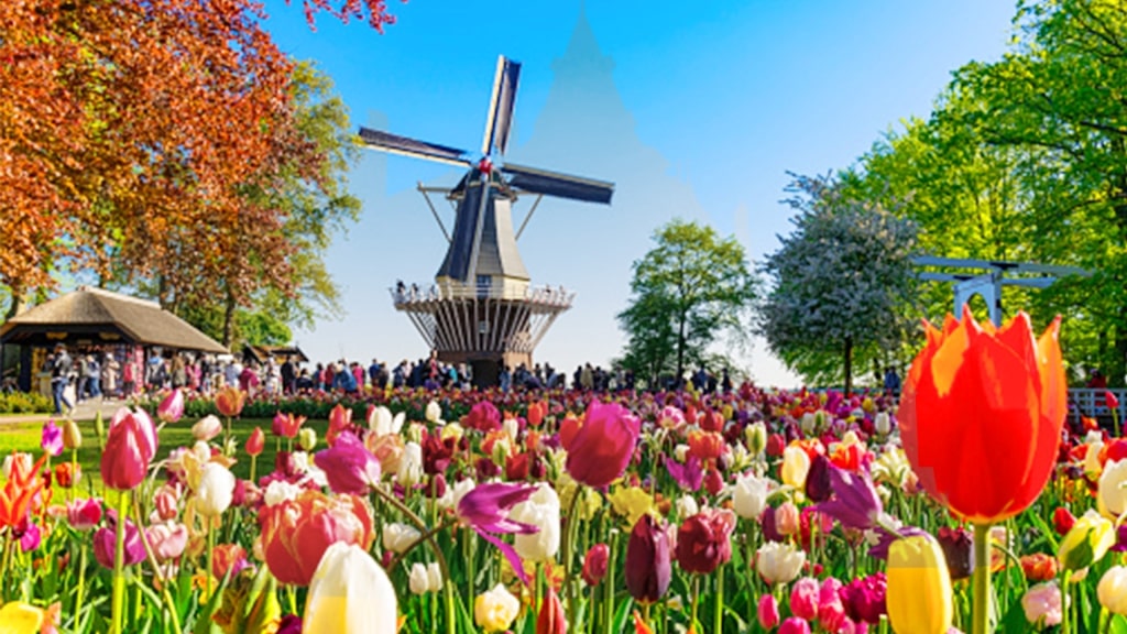 The Keukenhof’s vibrant tulip gardens showcase a dazzling display of color.