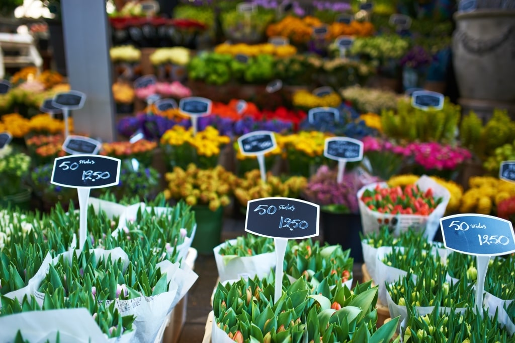 Amsterdam flower market