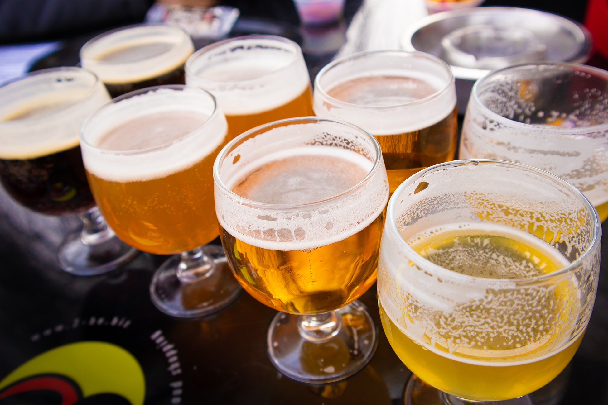 Beer Degustation in Bruges, Belgian, Europe