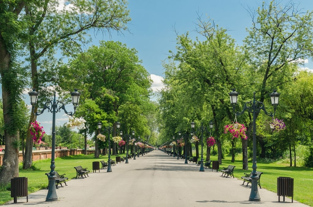 A tree-lined promenade in Mogosoaia Public Park Alley in Bucharest, Romania.