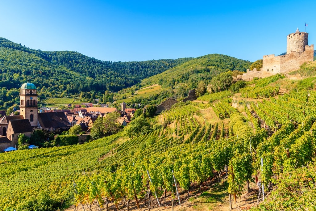 Vineyards in Kaysersberg village on Alsatian Wine Route