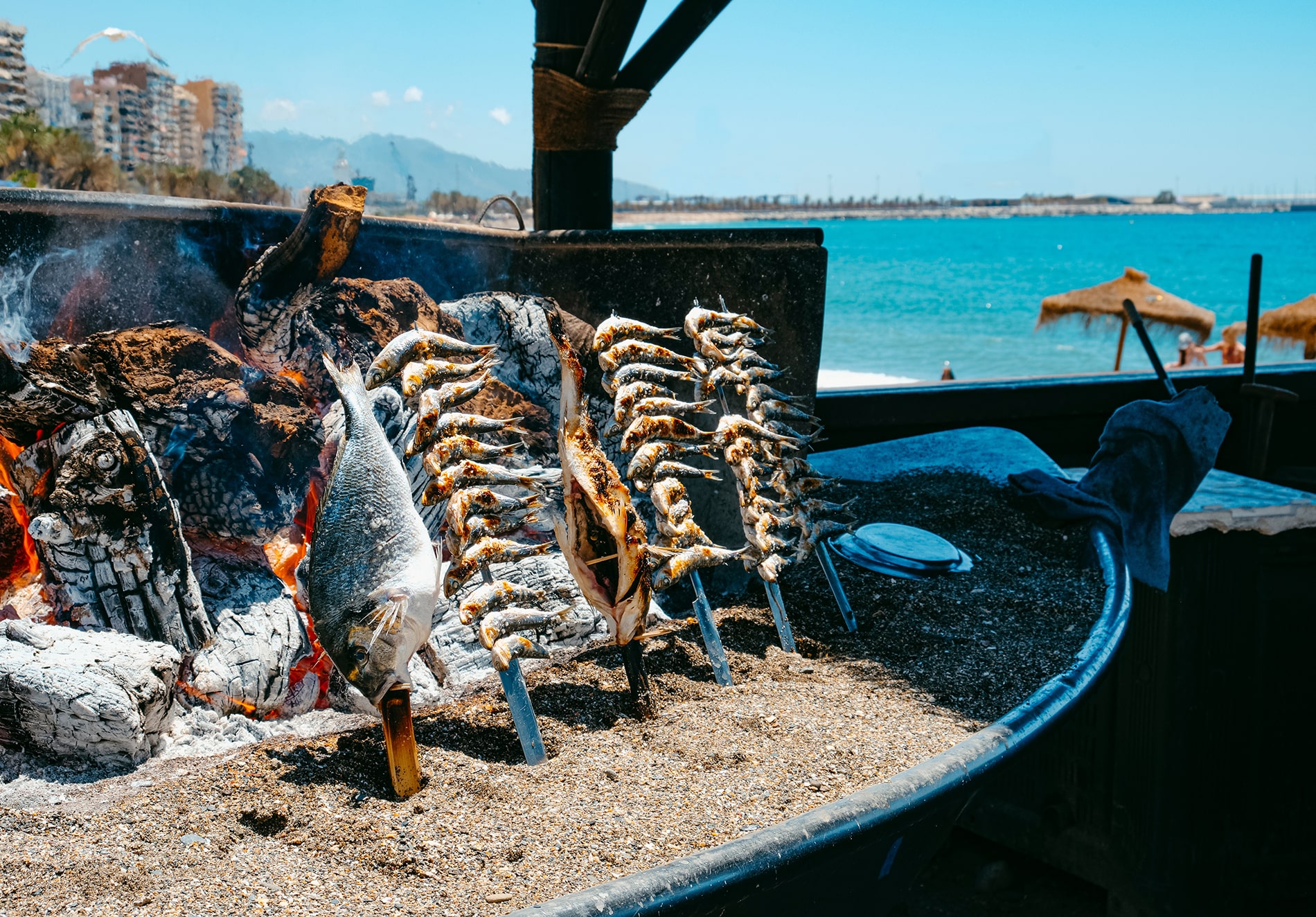 Espetos, a kind of skewers where fish is skewered, being cooked in a wood fire, as is traditional in Malaga, in La Malagueta beach
