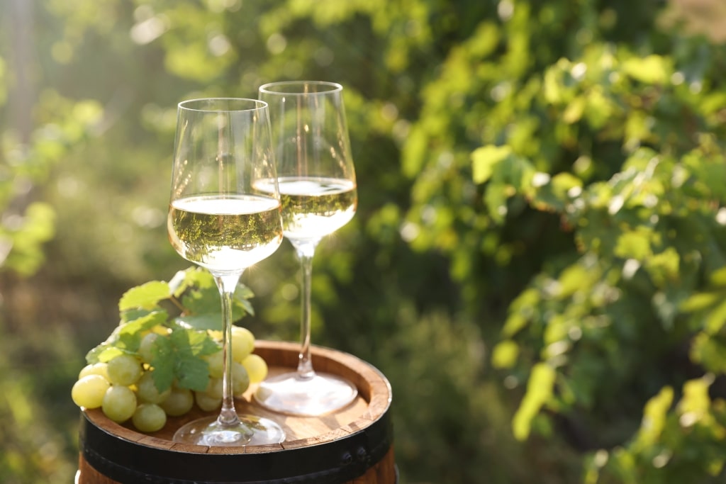 Two glasses of white wine catch the sunlight beside lush vineyards in Alsace.