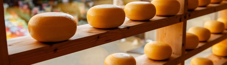 Glistening wheels of Gouda, encased in traditional yellow wax, rest in neat rows atop rustic wooden shelving within a local storefront display.