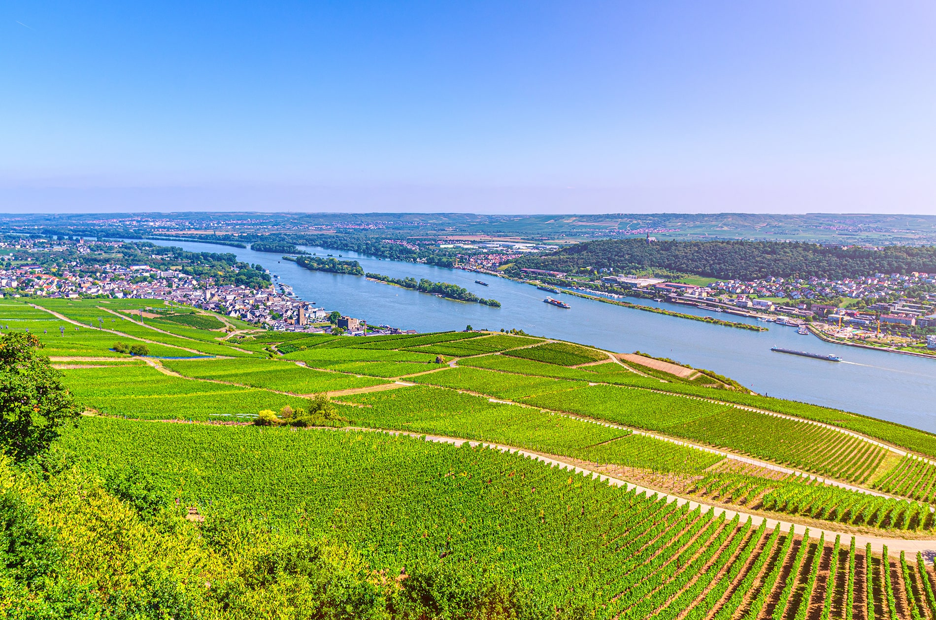 River Rhine Gorge or Upper Middle Rhine Valley winemaking region with vineyard fields, Rudesheim am Rhein, Germany