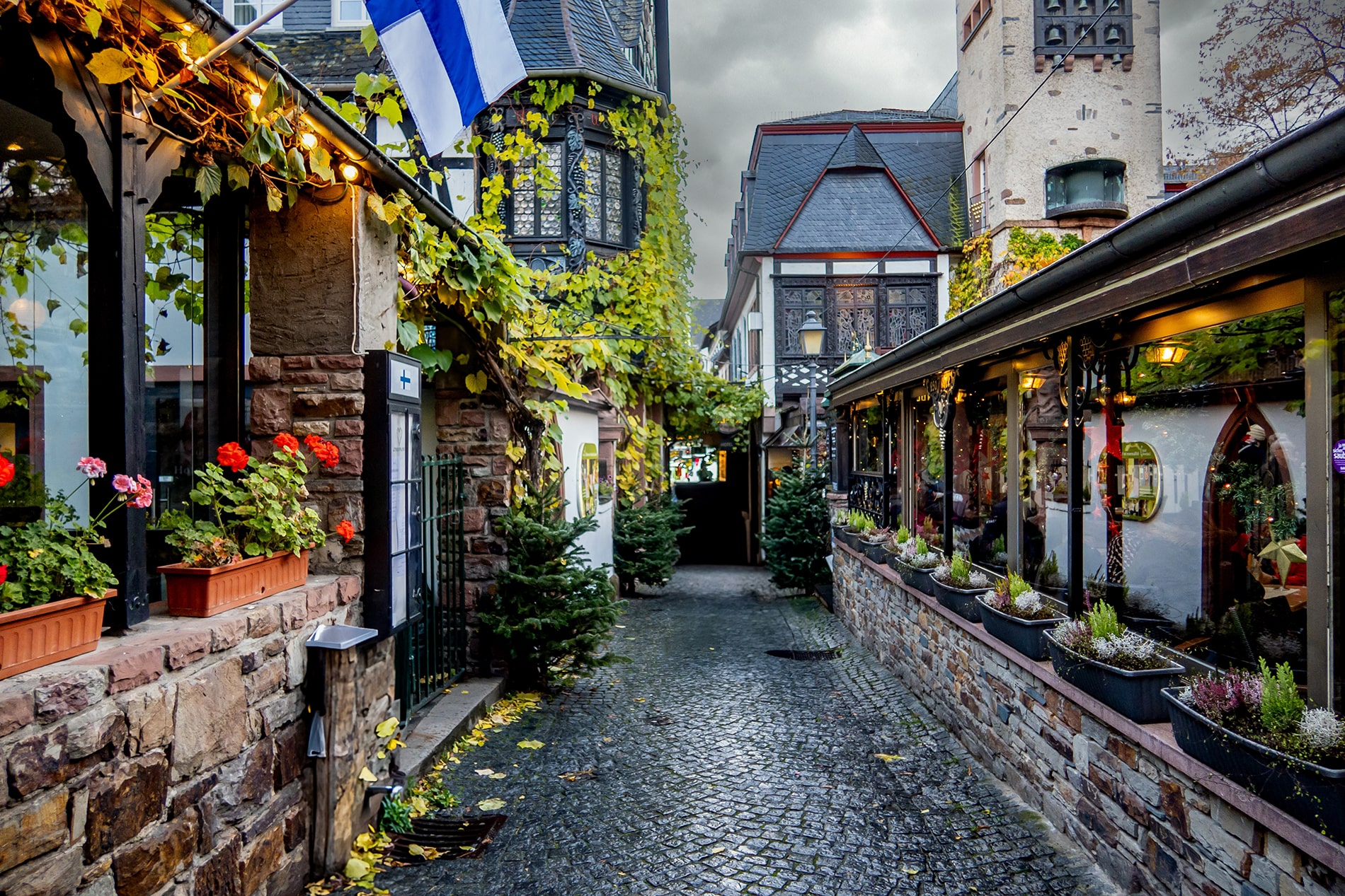 Step into the charm of Rüdesheim am Rhein, where a festive alley adorned with ivy, cobblestone paths, and cozy lights captures the spirit of the holiday season in Germany