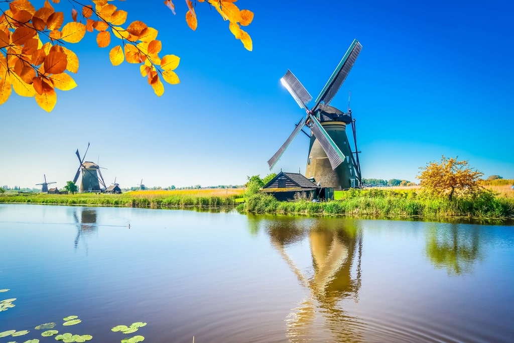 Framed by golden autumn foliage, Kinderdijk’s historic windmills reflect across calm canal waters on a crisp Dutch afternoon.