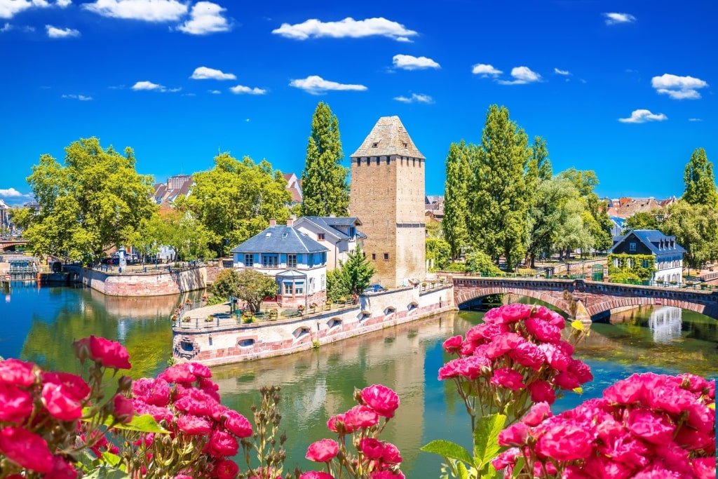 Blooming flowers frame the historic Ponts Couverts medieval towers and canals in Petite France, viewed from the terrace of the Barrage Vauban.