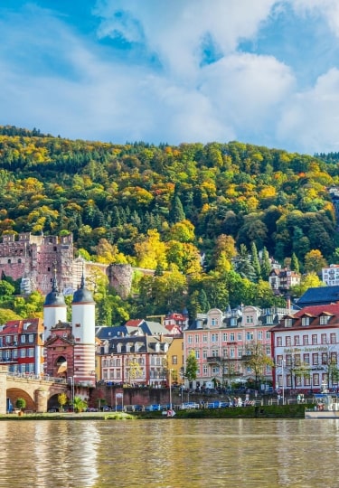 Rhine River Map and Cruise Route Guide