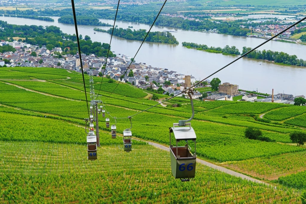 Cable car gondolas glide above lush terraced vineyards offering panoramic views of the town and the Rhine River valley.