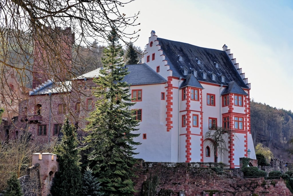 A view of Mildenburg Castle (Schloss Mildenburg) featuring its distinctive white palas with red-painted trim and stepped gables, set against the castle keep and surrounding trees.
