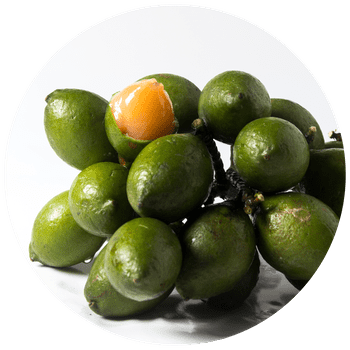 guinep (spanish lime/ mamones)