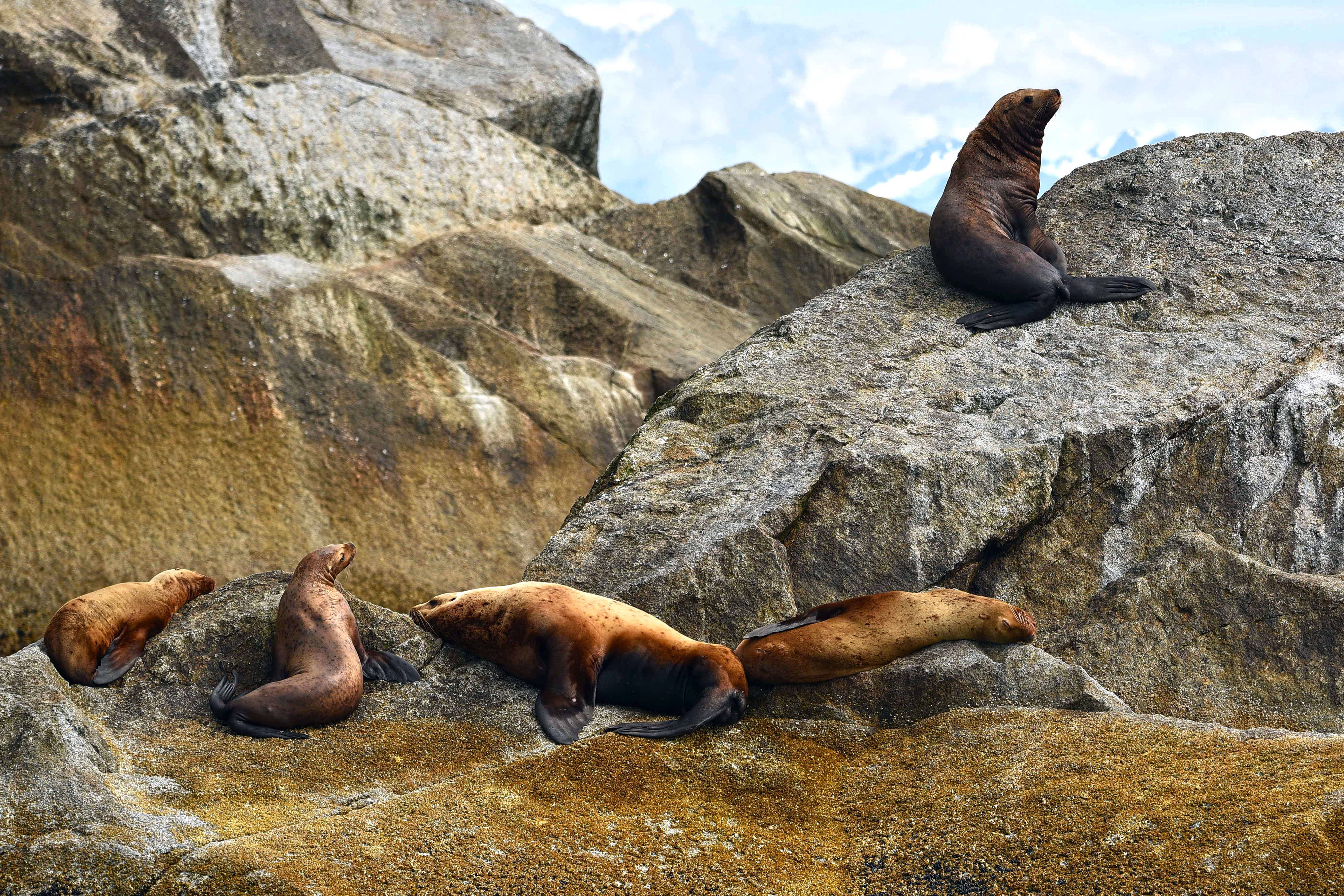 Alaska Gold Rush Adventure Cruisetour (Post Tour)
