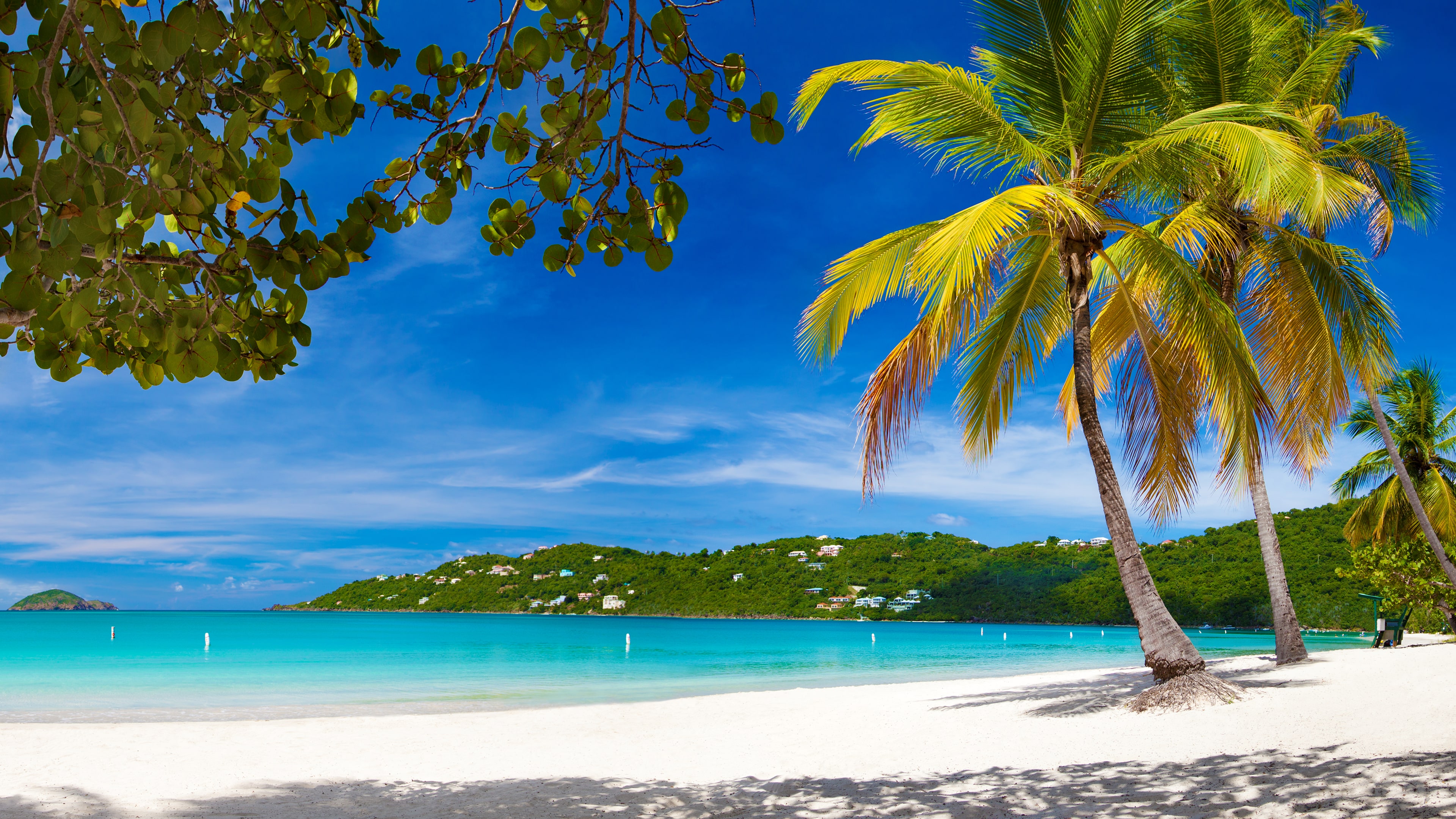 last minute caribbean travel deals