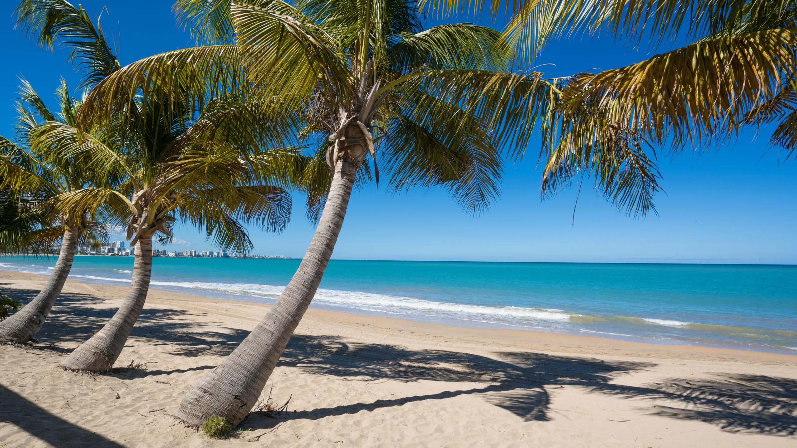 Cruises From Miami to Puerto Rico Celebrity Cruises