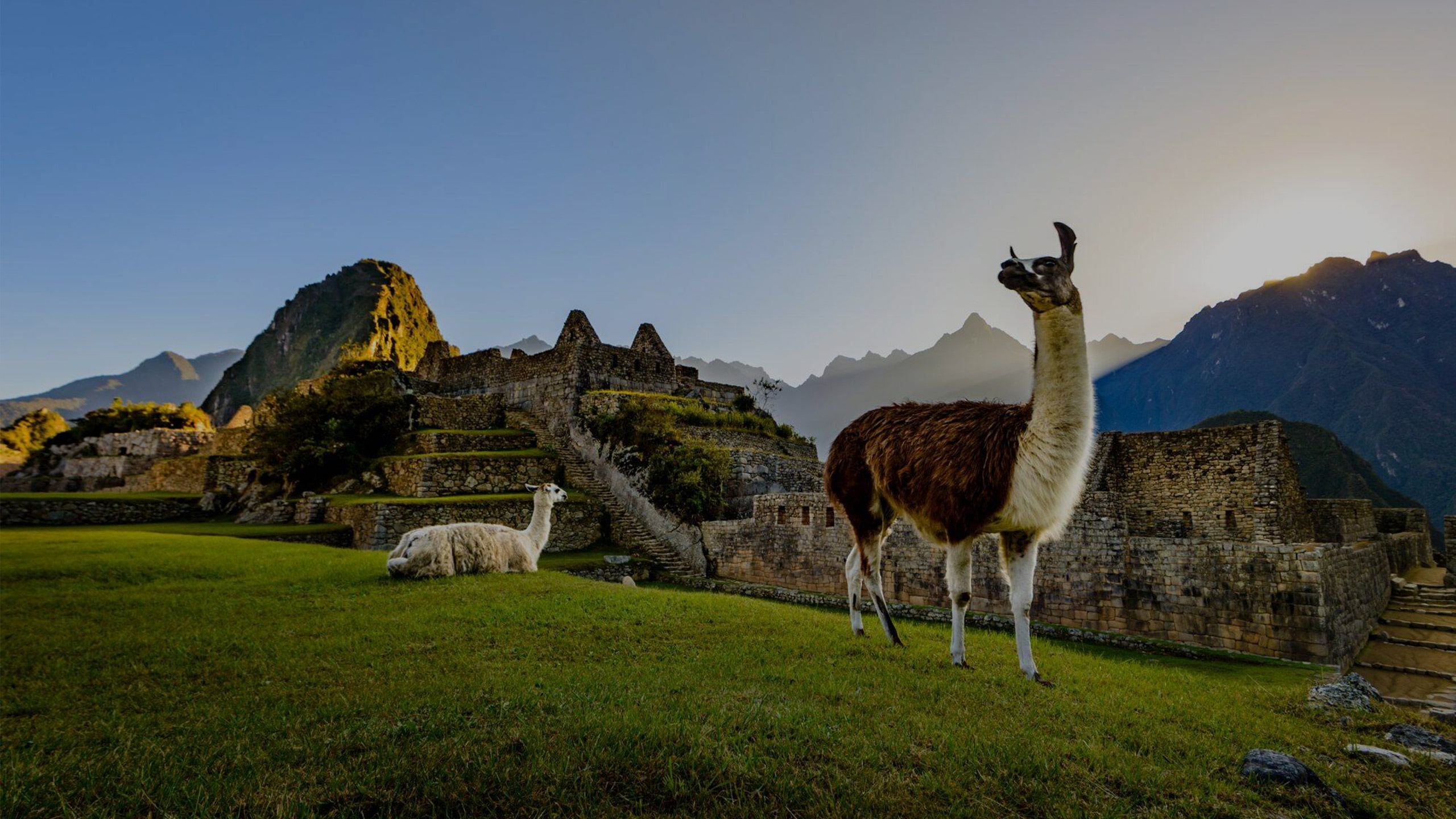 celebrity cruise tour to machu picchu