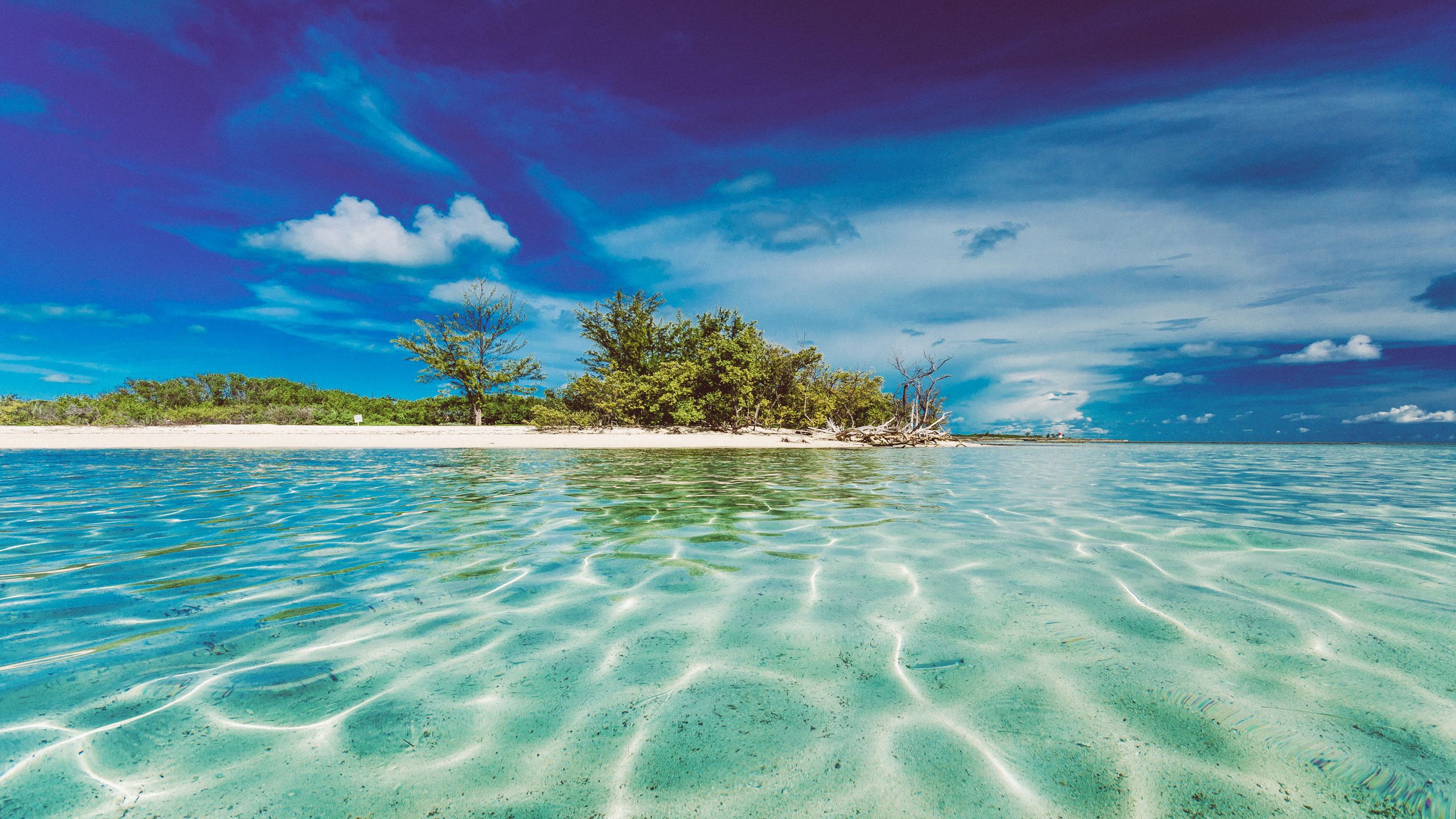 4 Nights Key West & Bahamas Cruise from Fort Lauderdale, Florida