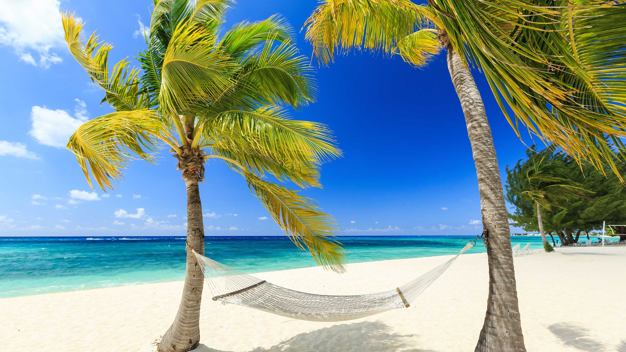 7 Nights Grand Cayman & Mexico Cruise from Tampa, Florida Celebrity