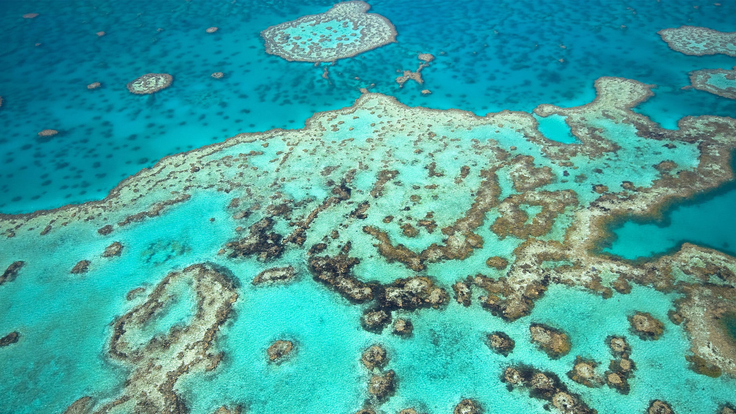 Cruises 2024 Australia Great Barrier Reef - Janey Kelley