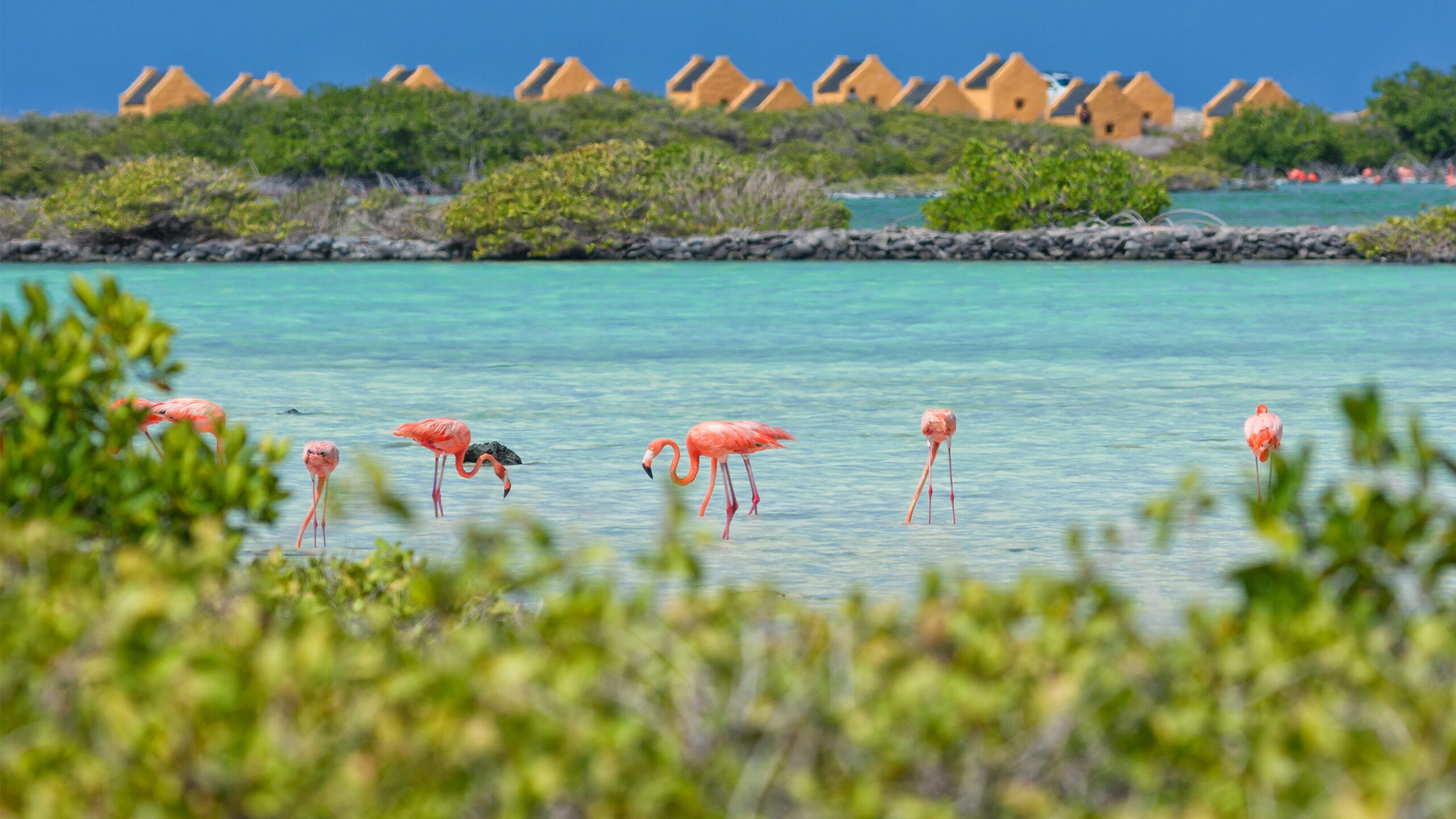 8 Nights Aruba, Bonaire & Curacao Cruise from Fort Lauderdale, Florida