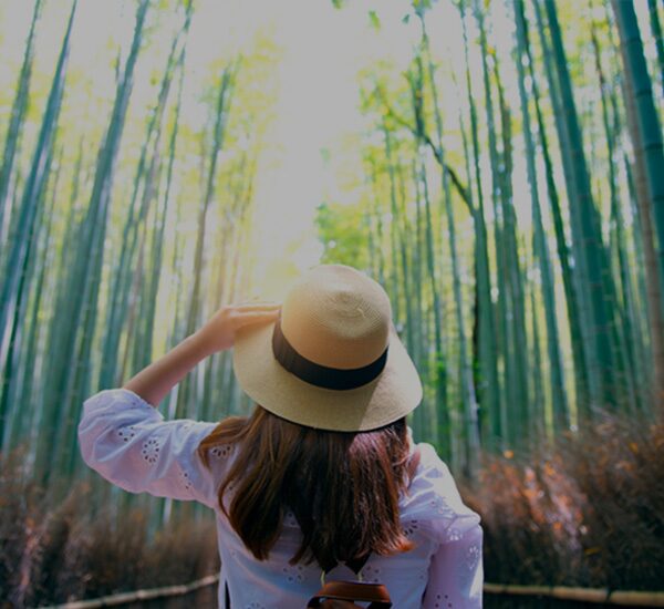 Caribbean-web-promo-mobile