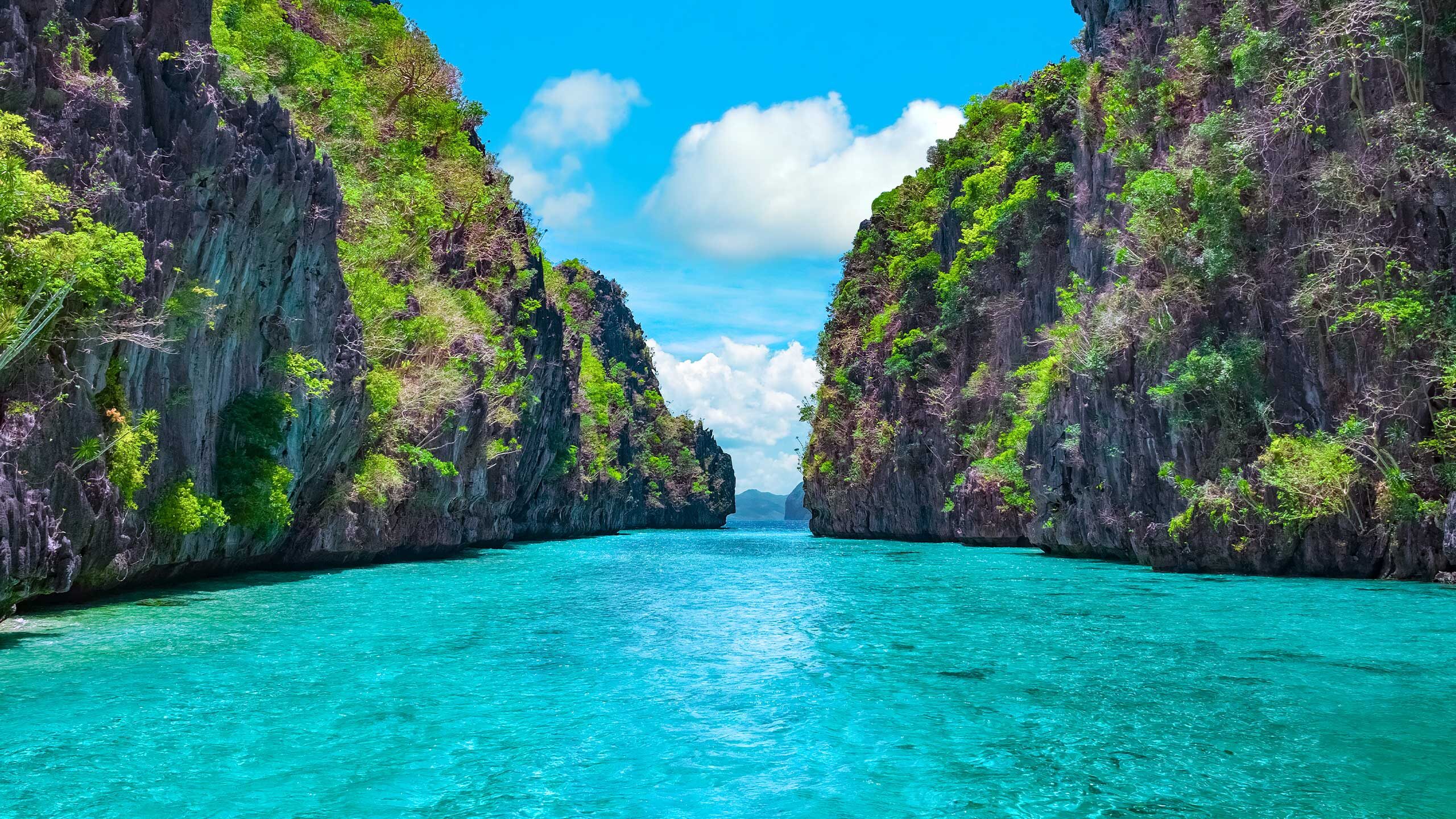 cruise philippine islands
