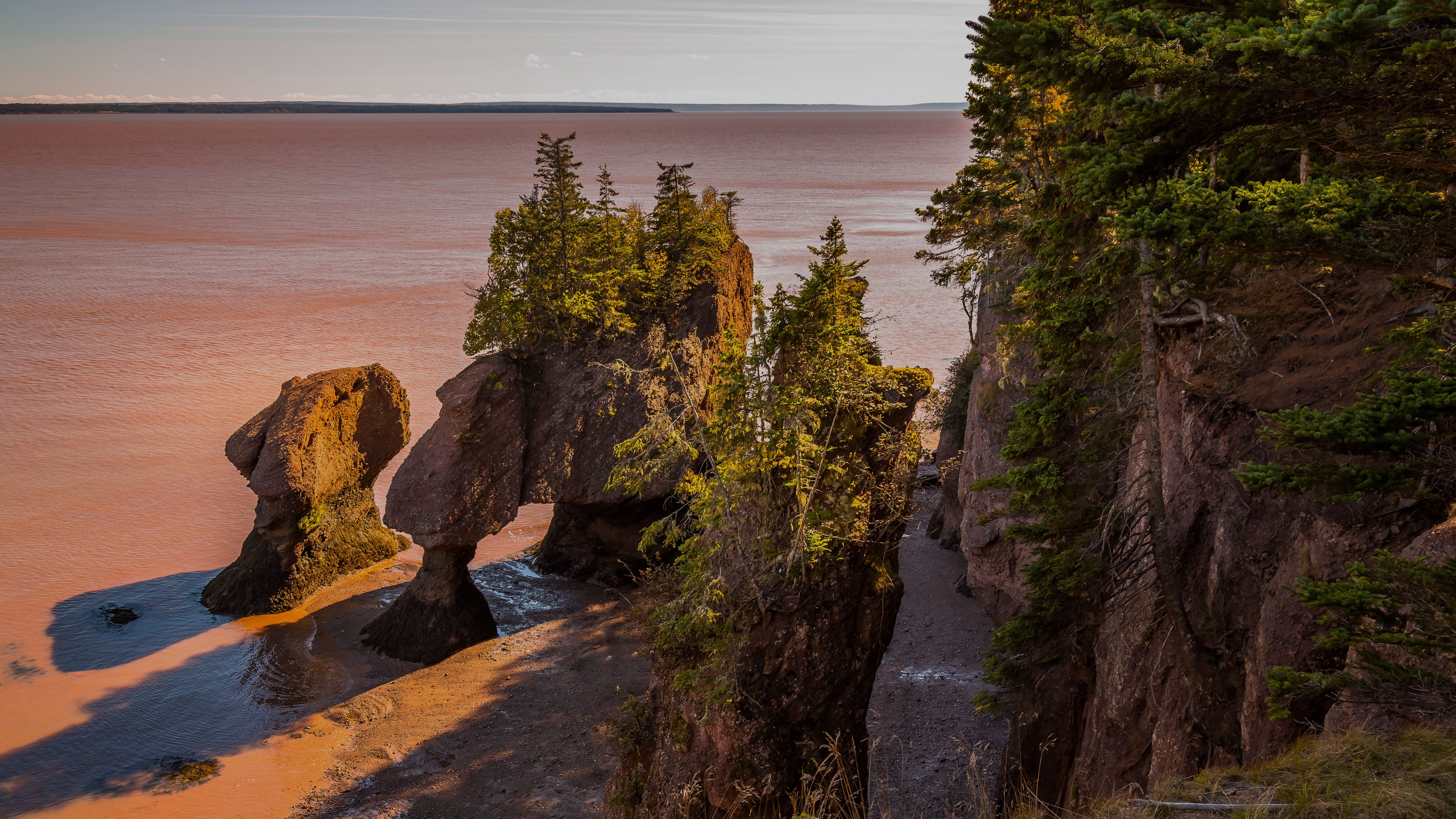 tours saint john new brunswick