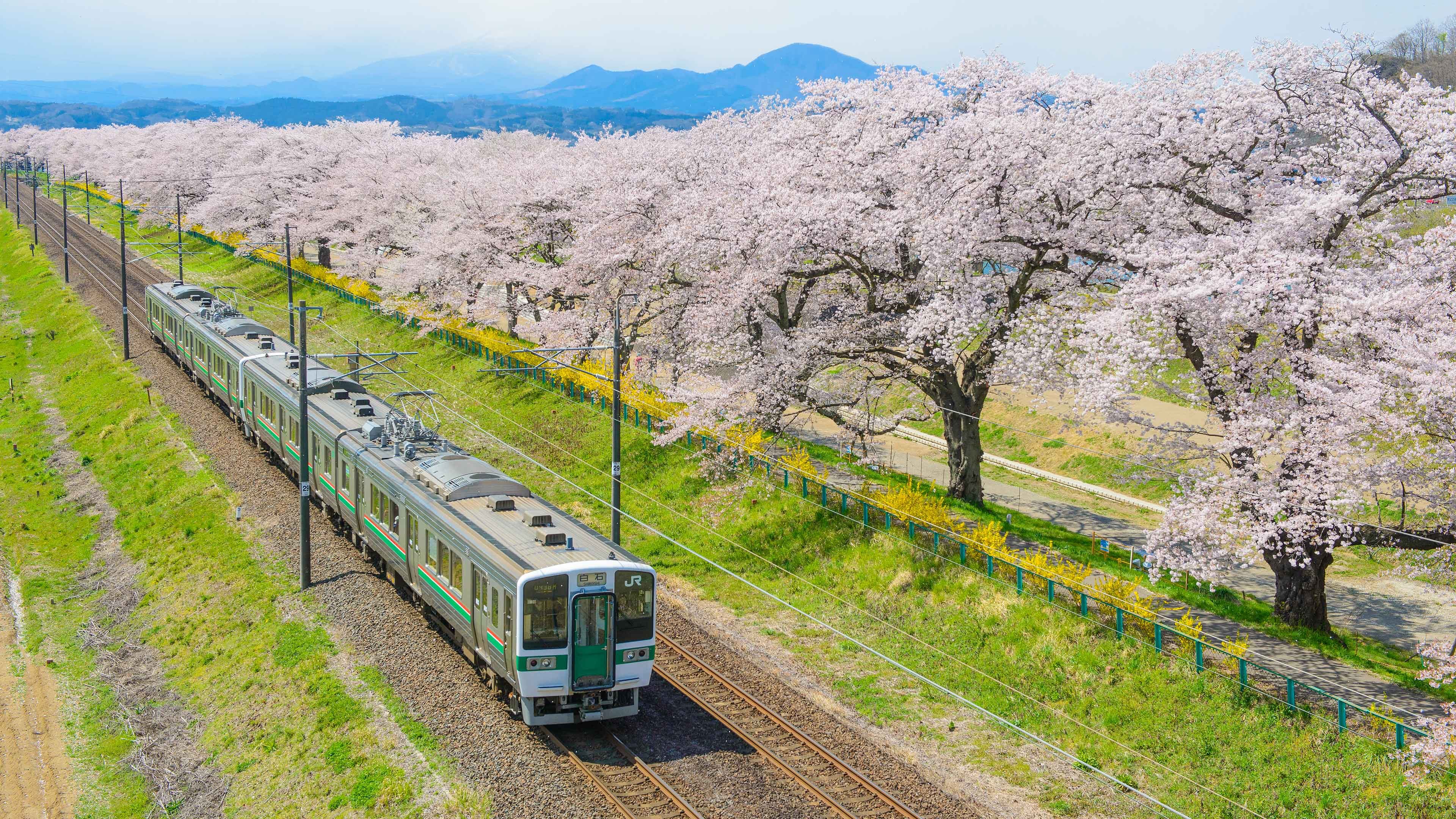 Cruise to Sendai, Japan Cruise Ports Asia Cruises