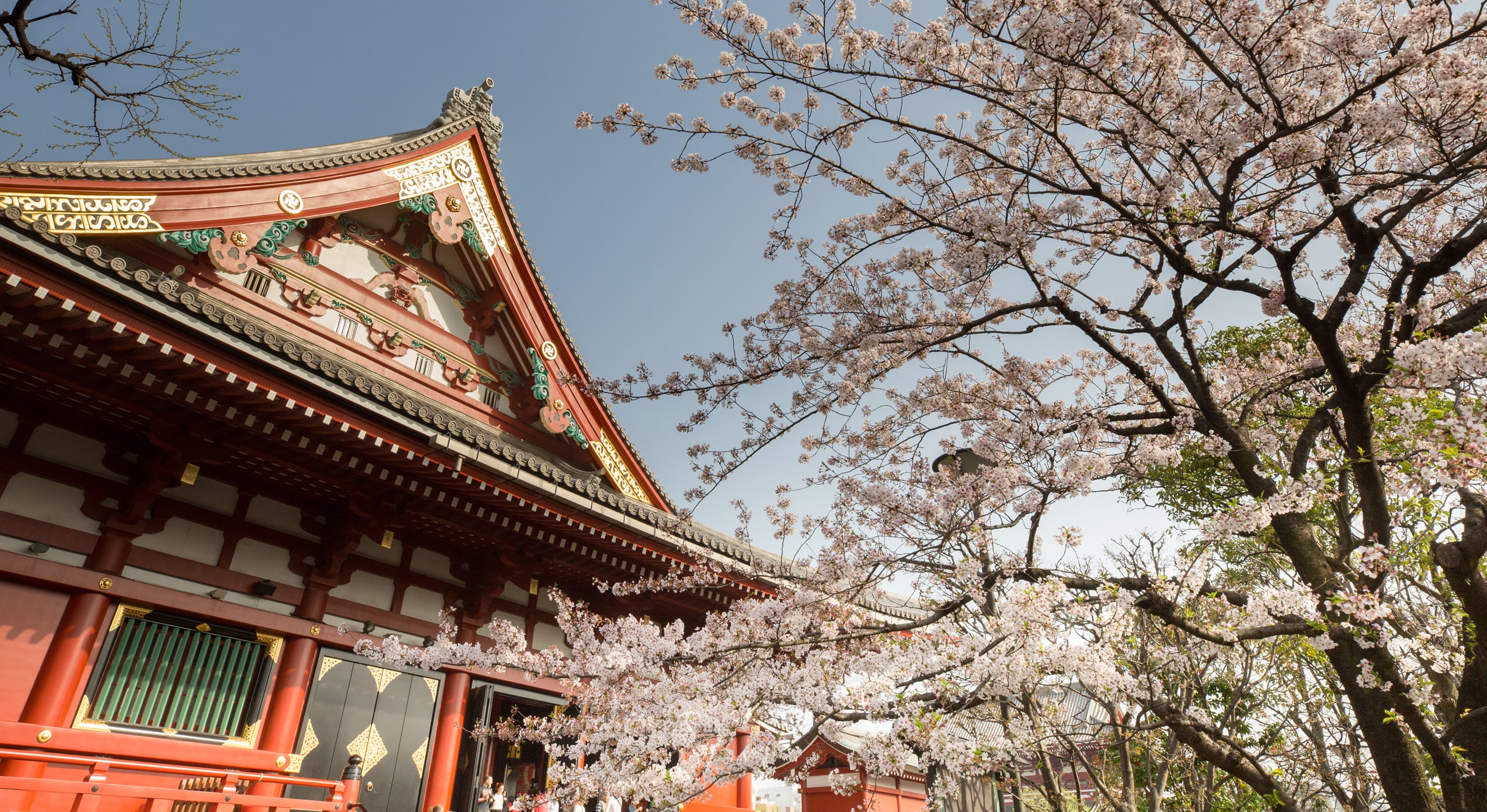 Japan Cruise Best Cruises Around Japan 2024 & 2025 Celebrity Cruises