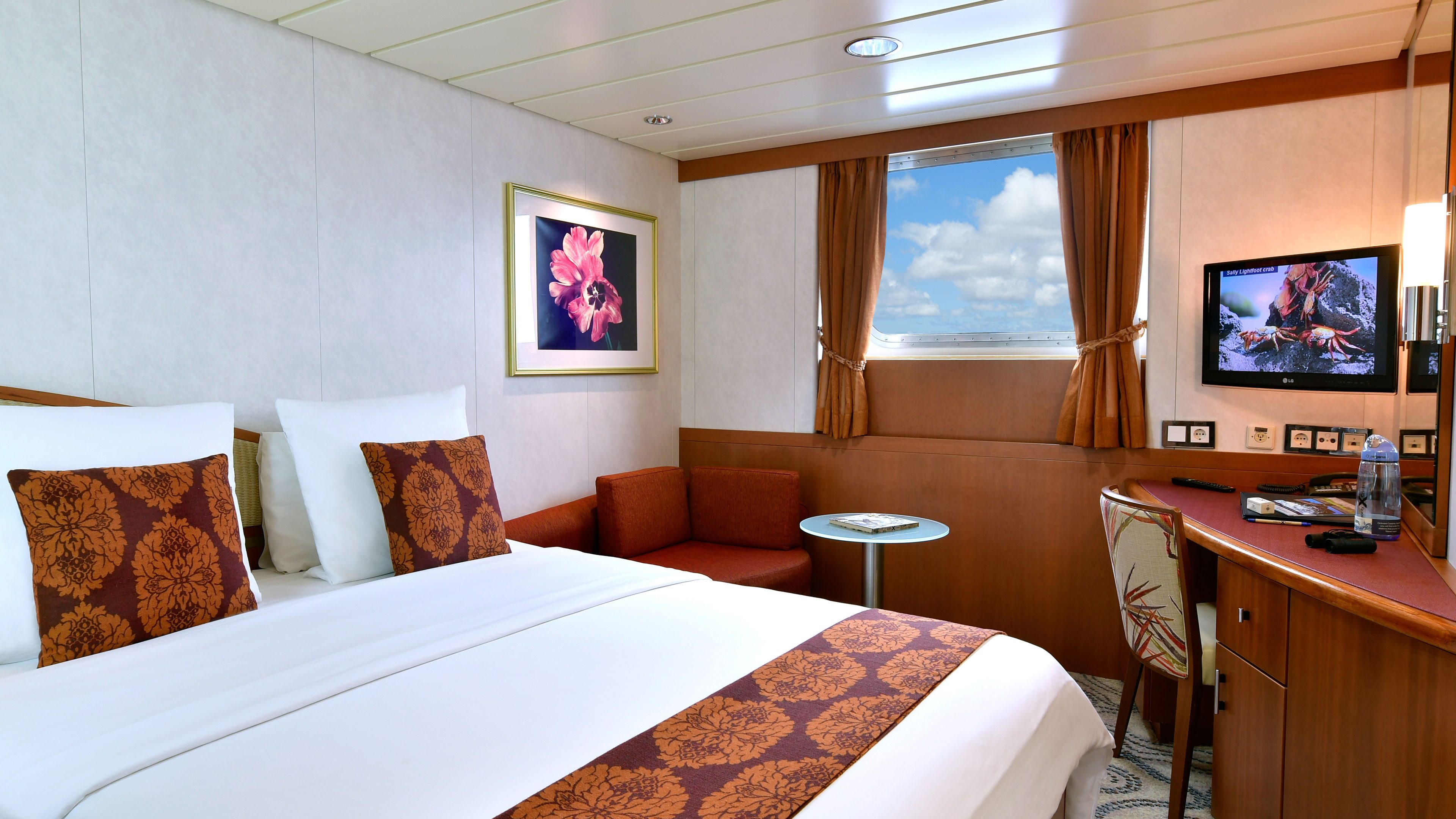 celebrity cruises ocean view stateroom
