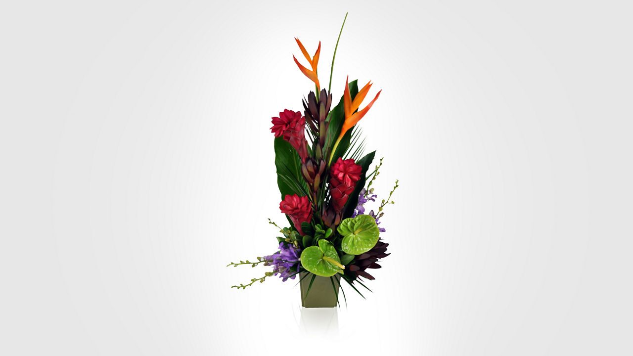 CF002-tropical-flower-bouquet.jpg?$16x9-
