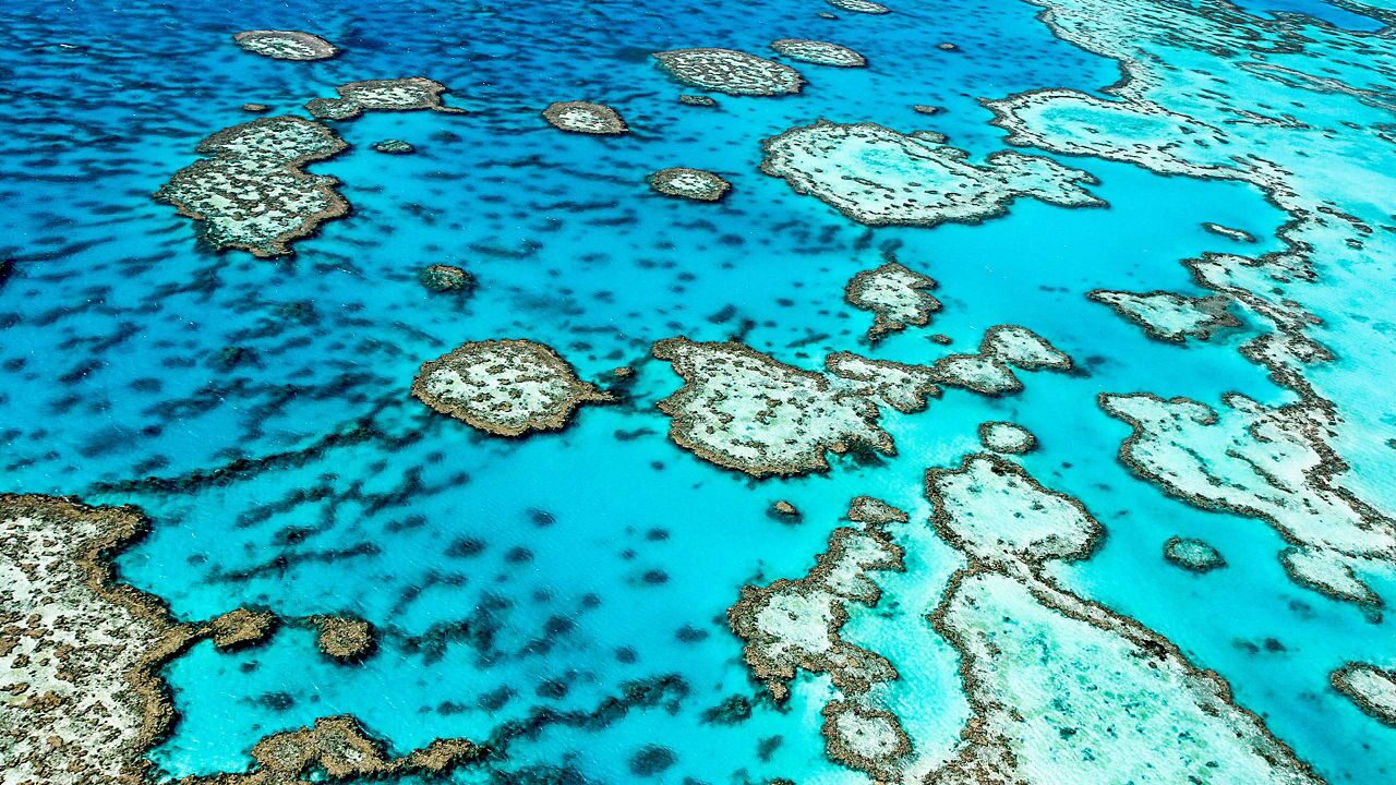celebrity cruise great barrier reef 2024