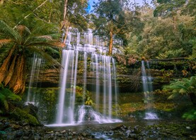 Russell Falls in Mount Field National Park.